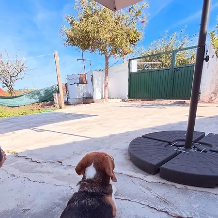 Casa de hóspedes Casinha No Coração Do Oeste 3*